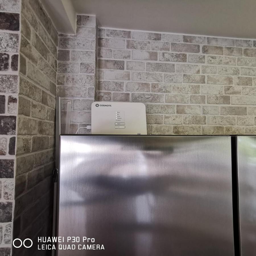 Family Apartment Zornitsa Néa Fókaia 外观 照片
